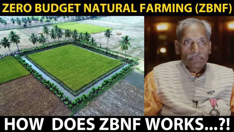 ZERO BUDGET NATURAL FARMING (ZBNF)