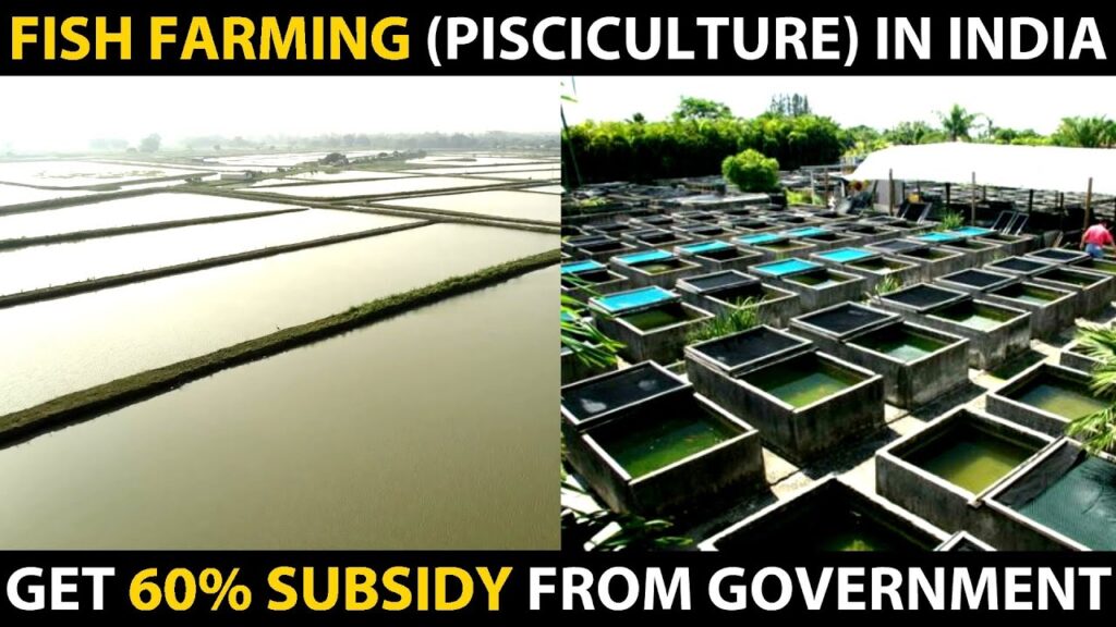 Modern Fish Farming Technology | FISH FARMING IN INDIA