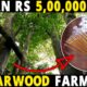 AGARWOOD FARMING: Agar Wood Plantation/Cultivation