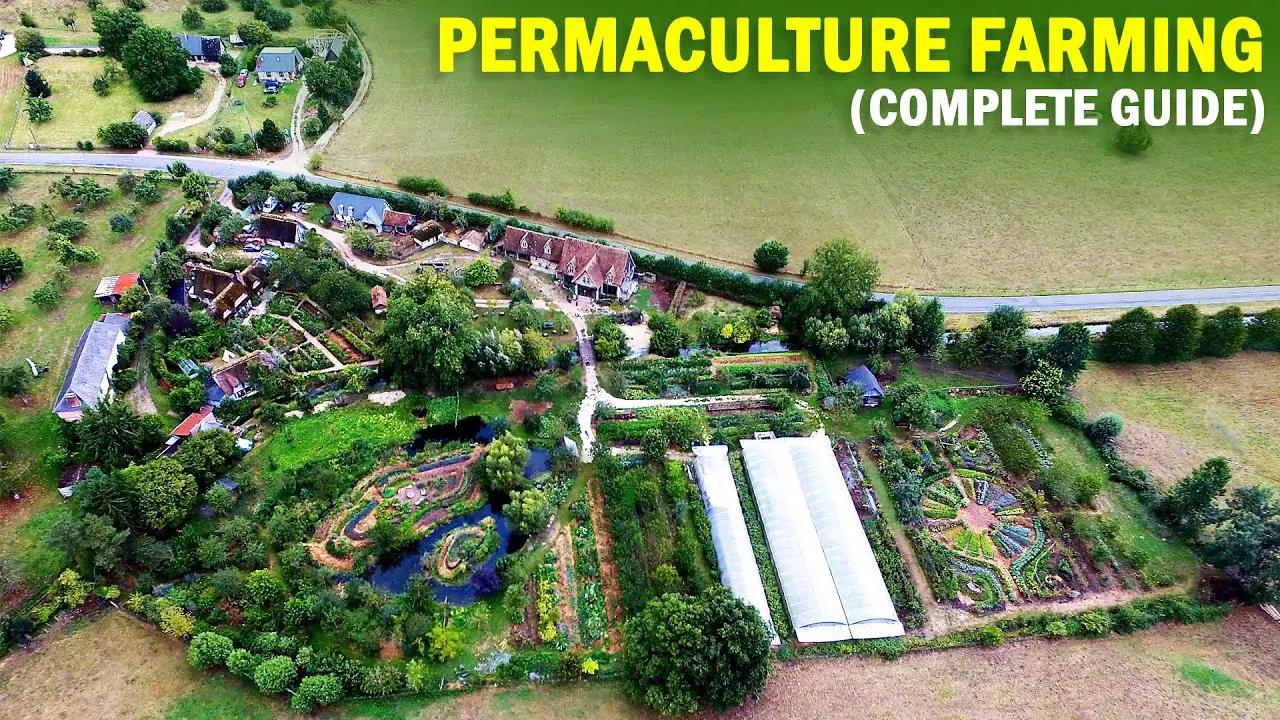 Permaculture Farming (Permanent Agriculture)