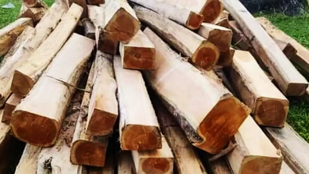 teak wood