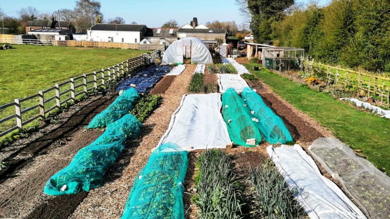 Permaculture Farming (Permanent Agriculture) - Discover Agriculture