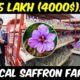 Vertical Saffron Farming | Hydroponic Saffron Cultivation