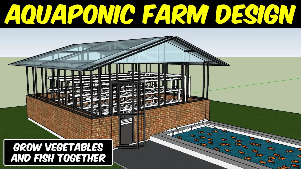 Aquaponics Systems: Integrated fish and vegetable farming