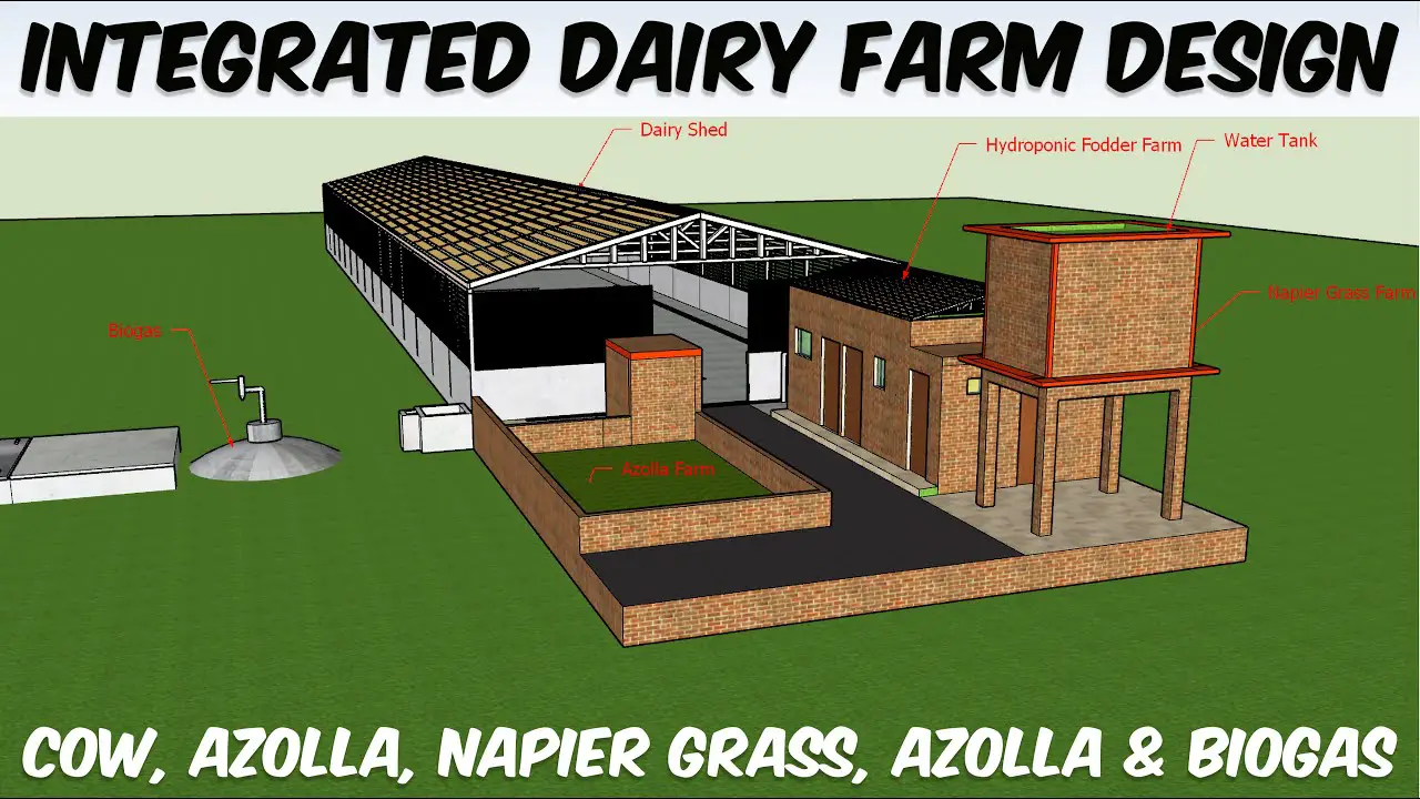 Integrated Dairy Farming Model Design
