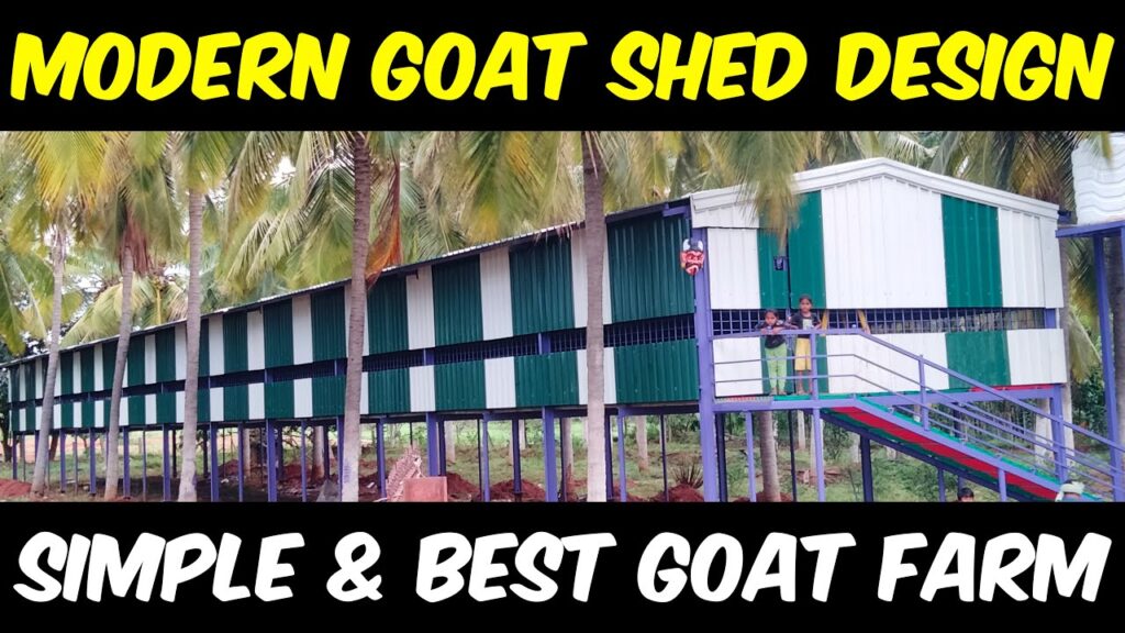 modern goat shed