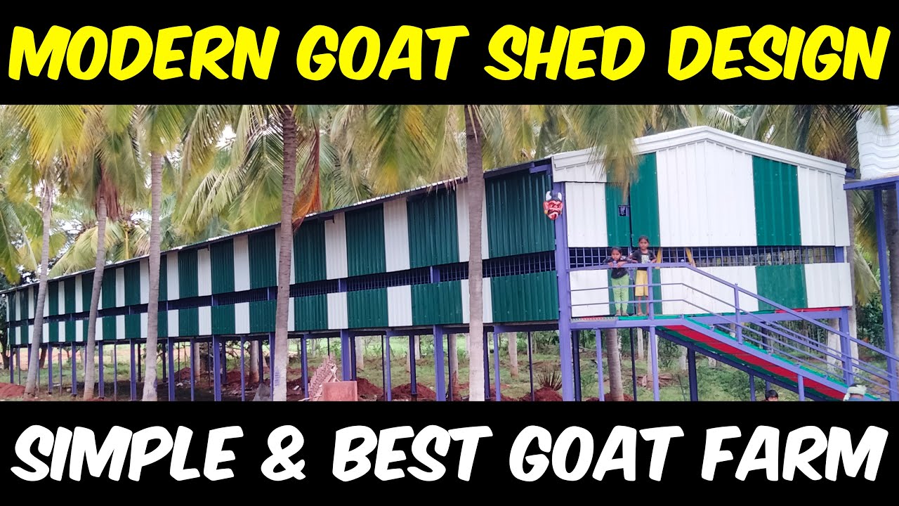 MODERN GOAT SHED Goat Farming Discover Agriculture