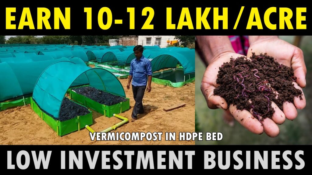 vermicompost business