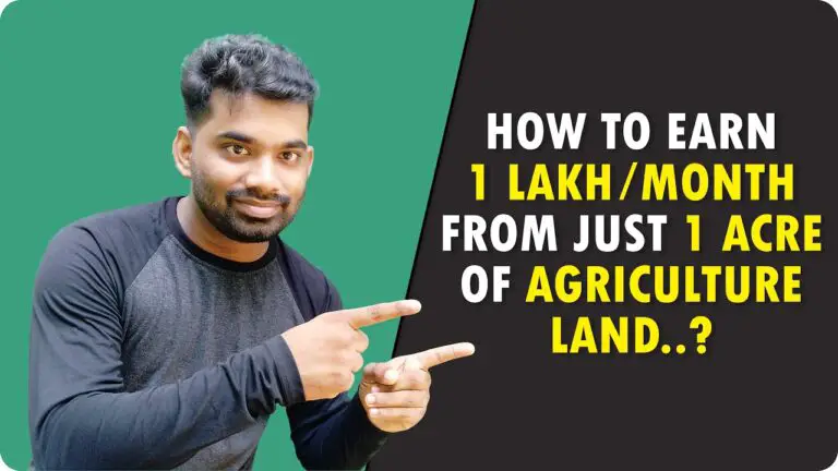 Farm House: Earn 1 Lakh Per Month From 1 Acre of Agriculture Land