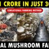 Vertical Mushroom farming