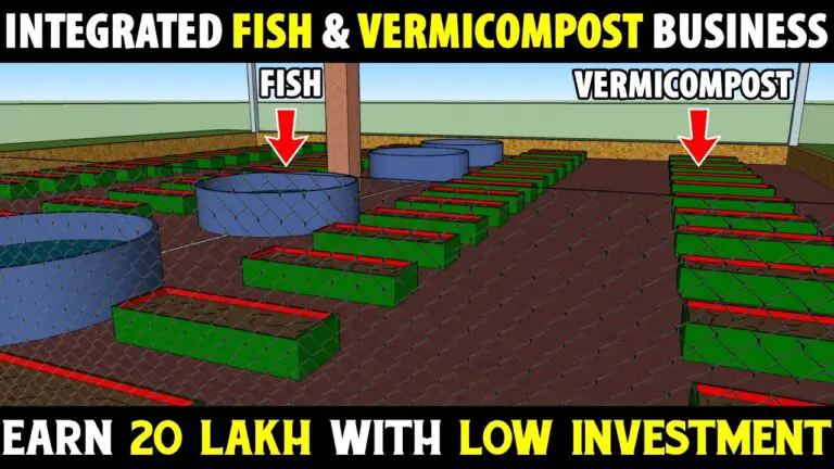 Integrated Biofloc Fish and Vermicompost Farming Business