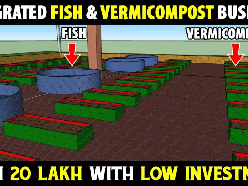 Biofloc Fish and Vermicompost