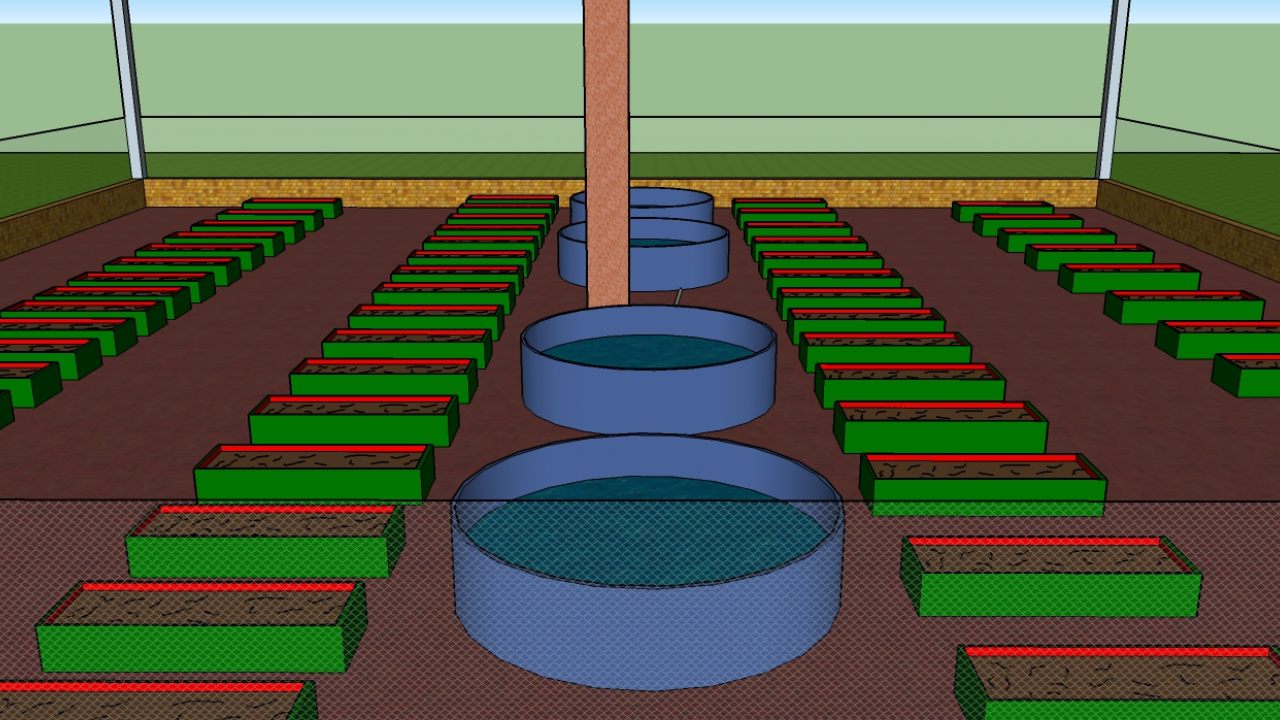 business plan for biofloc fish farming