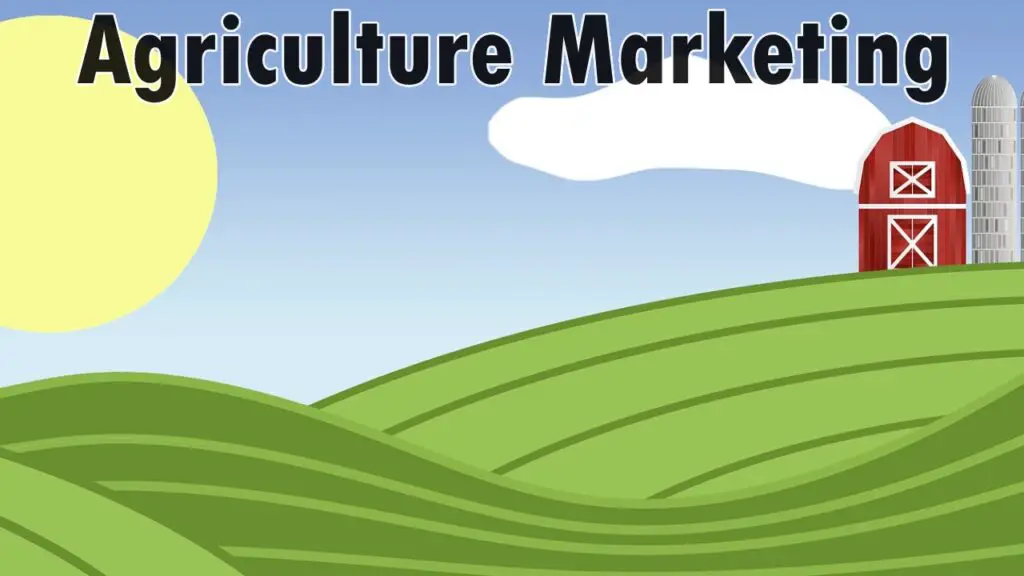 Agriculture Marketing | Online Marketing Strategies