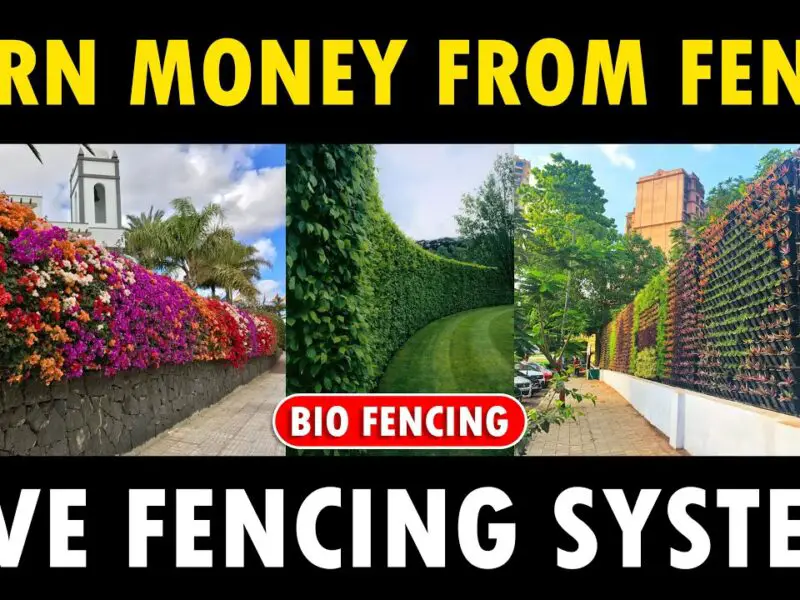bio fencing