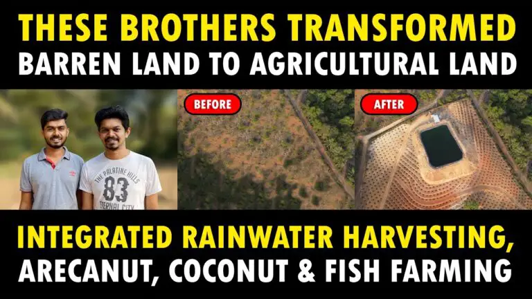 Integrated Rainwater Harvesting, Areca nut, Coconut & Fish farming | Kambalimoole Farms