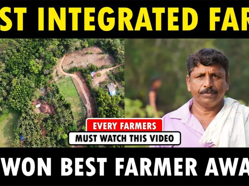 best organic farming in the world
