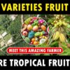 exotic fruit farm