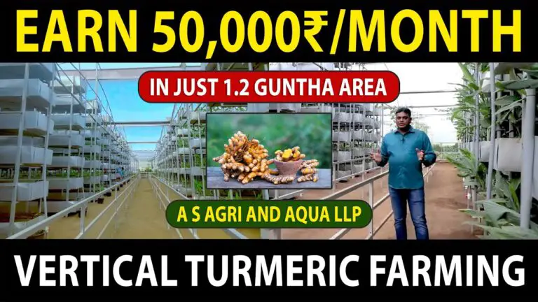 Soil-Based Vertical Turmeric Farming System | A S Agri And Aqua LLP