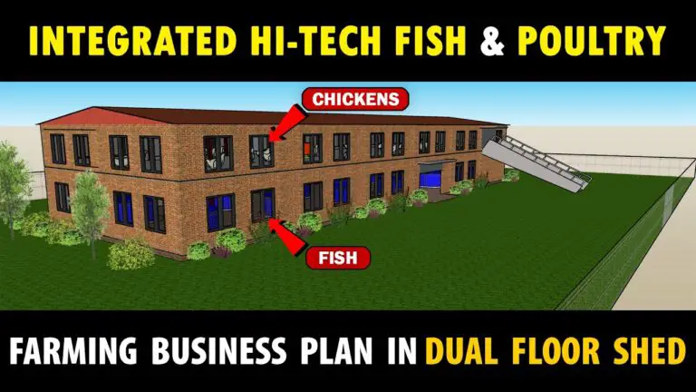 Integrated High tech FISH and POULTRY Farm Business plan