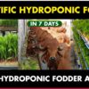 Hydroponic farming