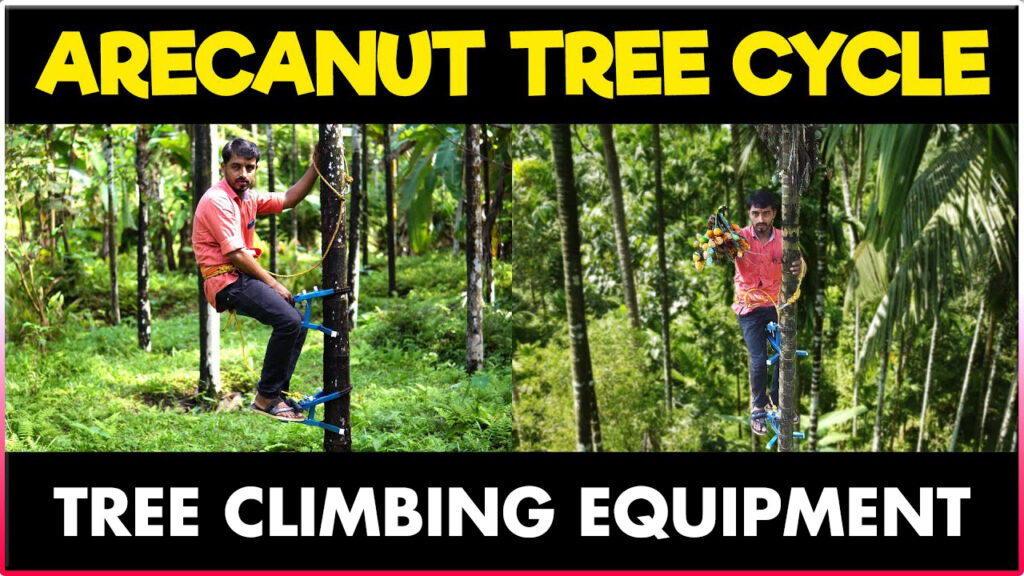 Arecanut-Tree-Climbing-Cycle