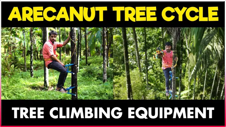 Tree Climbing Equipment | Arecanut Tree Climbing Machine