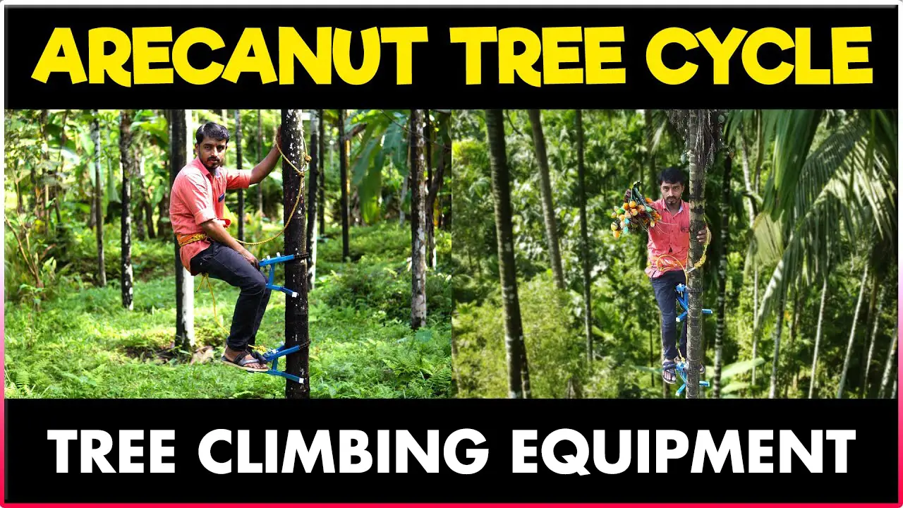 Arecanut-Tree-Climbing-Cycle