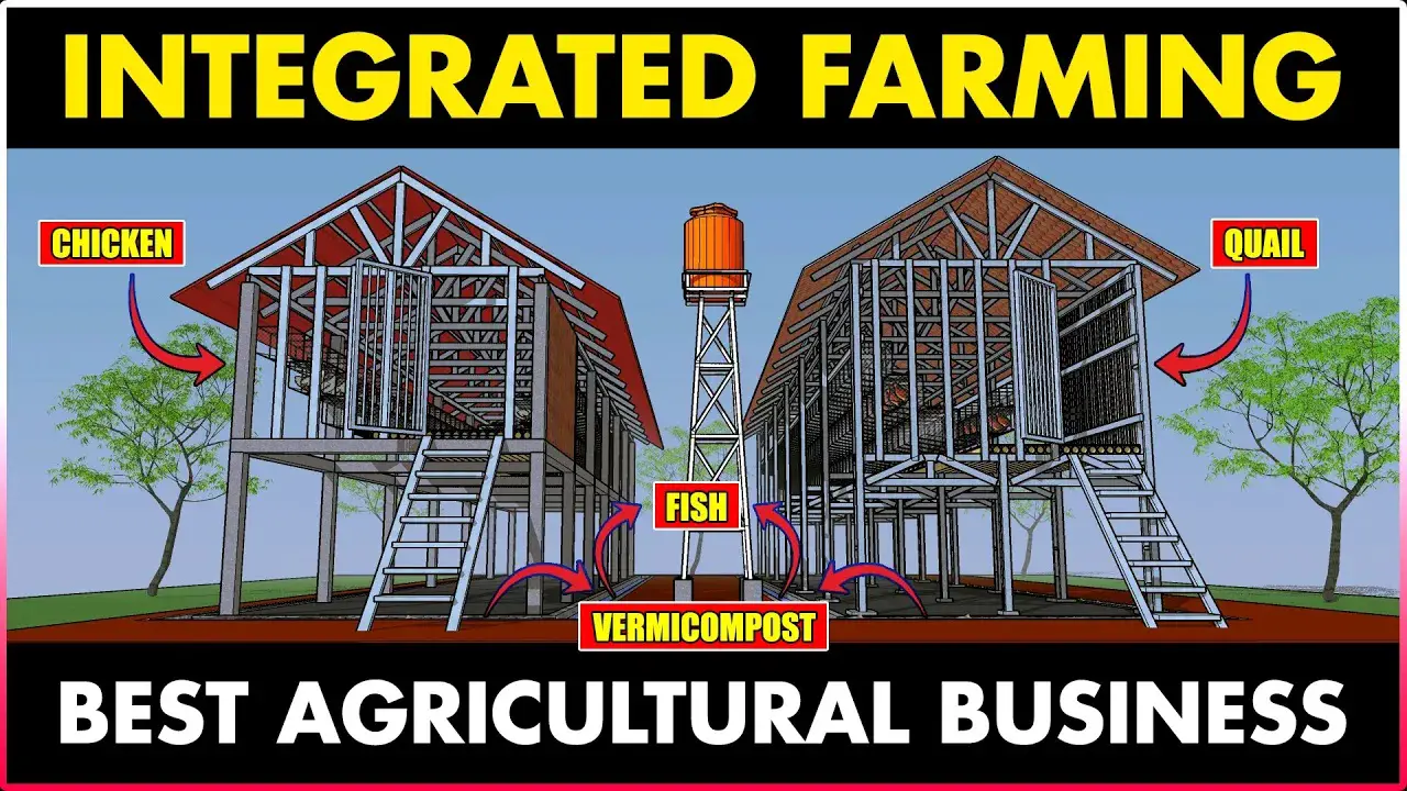 Integrated Fish, Chicken, Quail, and Vermicompost Farm | Best AGRICULTURE Business