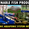 Aquaponic Hydroponic Integration System