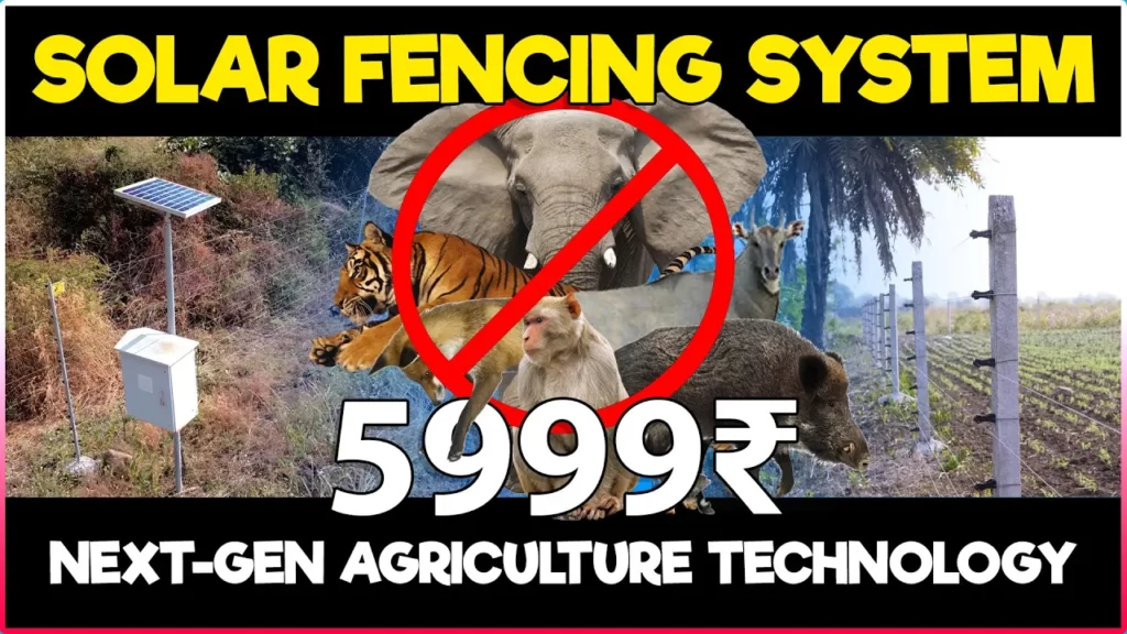 Solar Fencing System: A Cost-Effective & Eco-Friendly Solution