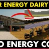 How this DAIRY FARM Is Taking Advantage of SOLAR POWER In An Unexpected Way!