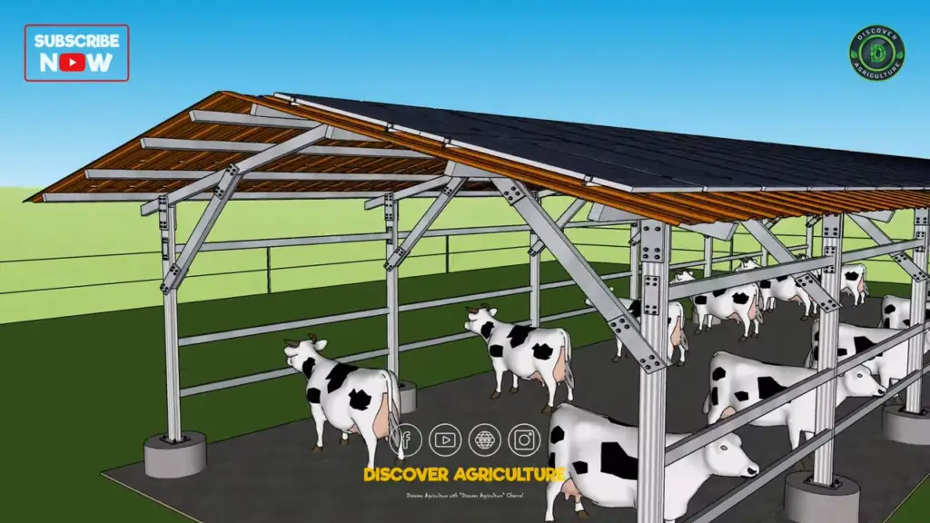 solar power dairy farm