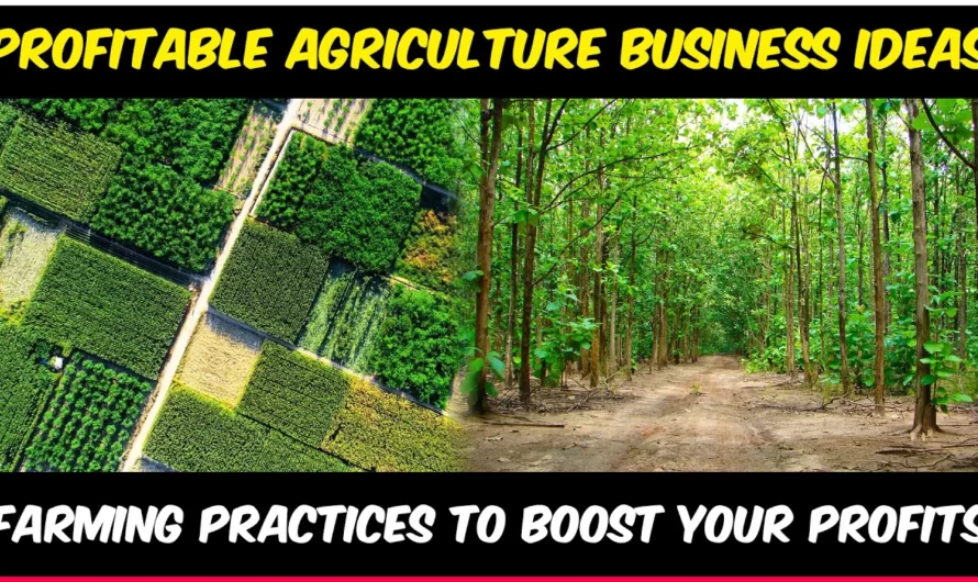 Innovative Agriculture Business Ideas for Sustainable and Profitable Farming