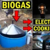 Electricity from Biogas