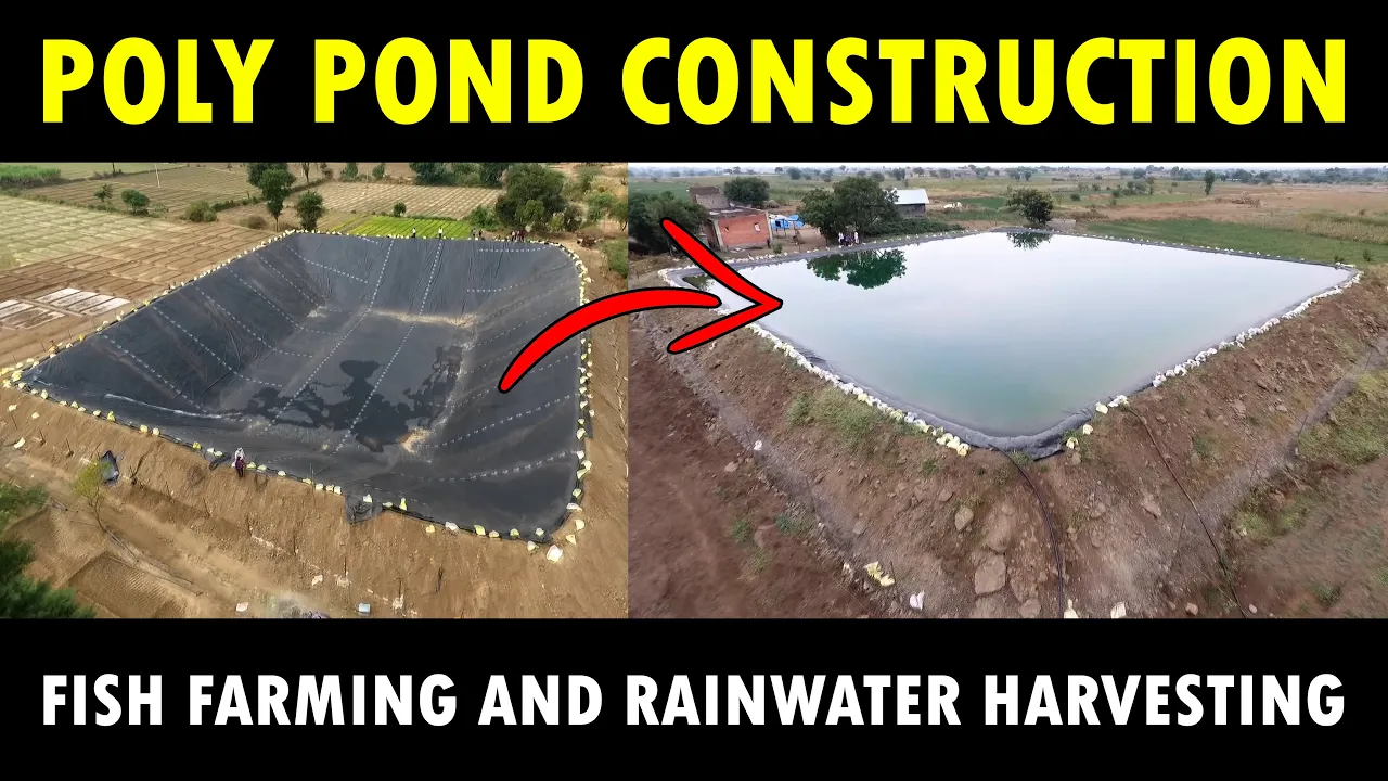 Building and Installing Poly Ponds: The Perfect Solution for Fish Farming and Rainwater Harvesting