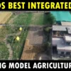 Best Integrated Farm in the World