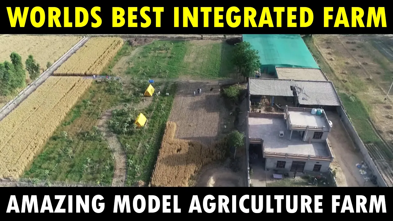 Discover the World’s Best Integrated Farm: A Comprehensive Guide to Modern Agriculture and the Integrated Farming System (IFS)