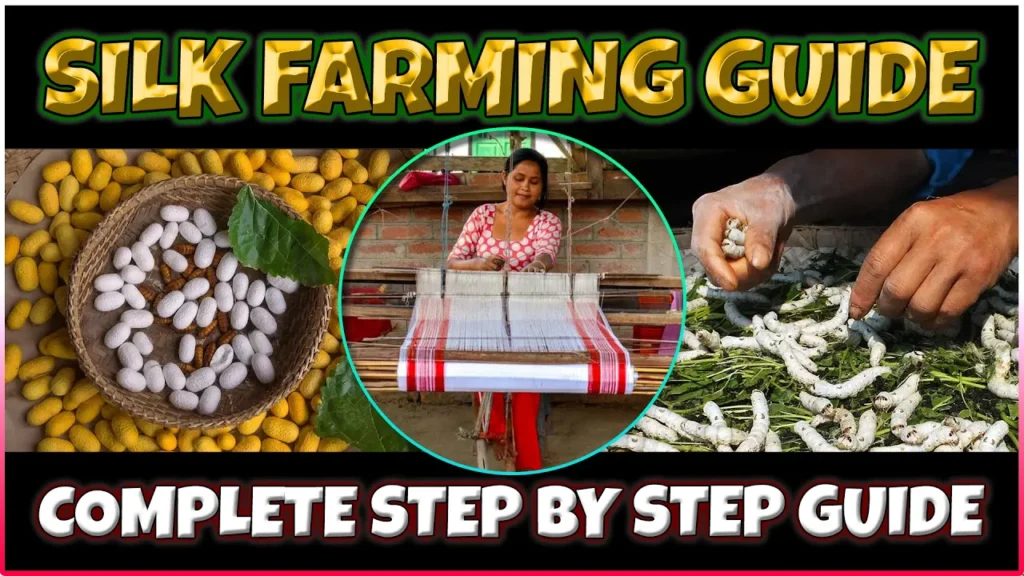 Silk Farming (Sericulture)