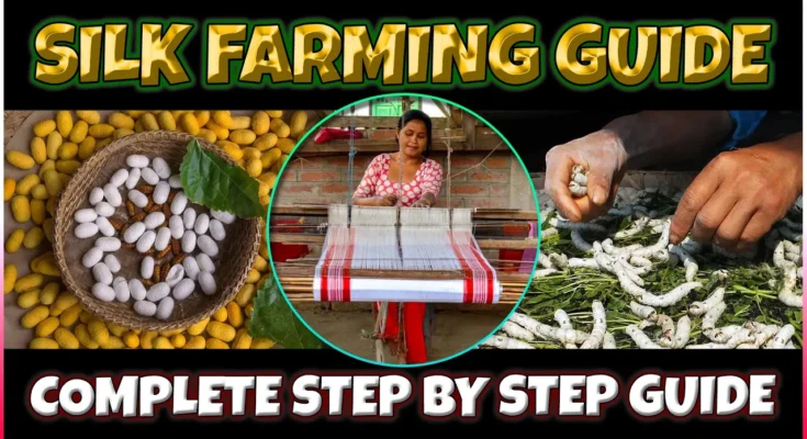 Silk Farming (Sericulture)