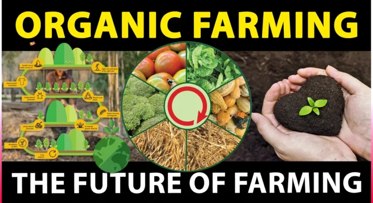 The Importance of Organic Farming