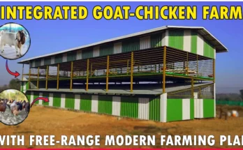 Integrated Goat and Poultry Farming Shed