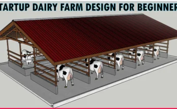 Simple Modern Dairy Farm Shed Design For 10 Cows