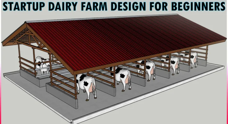 Simple Modern Dairy Farm Shed Design For 10 Cows