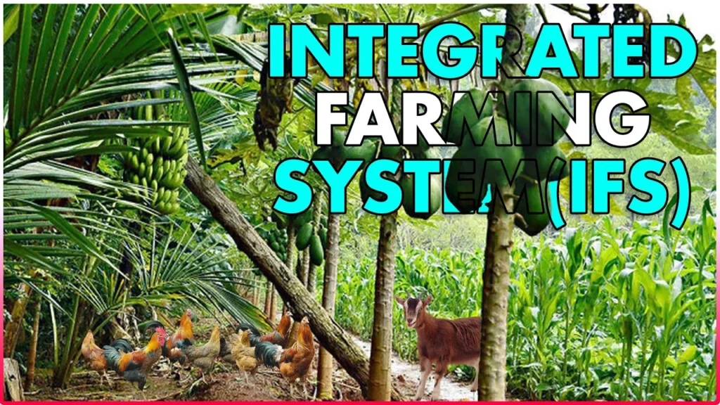 What is Integrated Farming System (IFS)