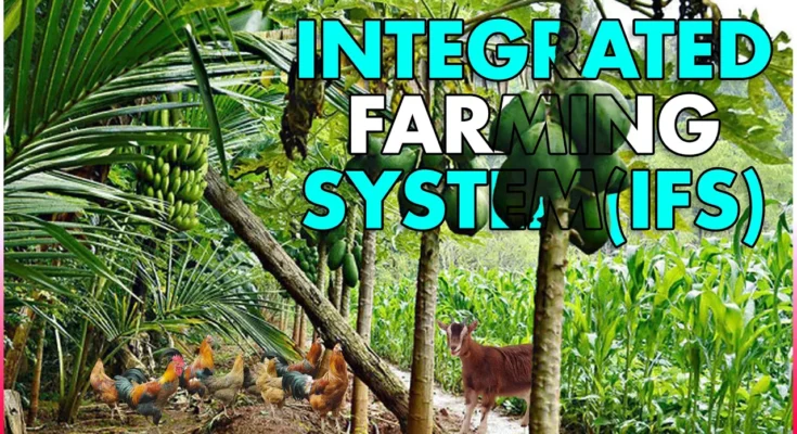 What is Integrated Farming System (IFS)