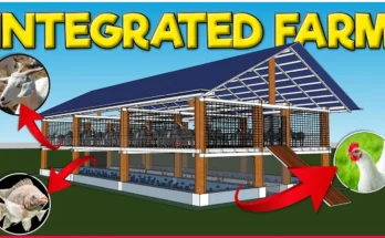 Integrated Goat, Chicken and Fish Farming